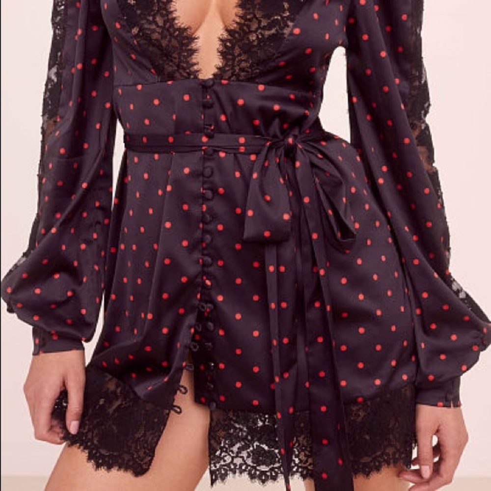 For Love and Lemons x Victoria Secret Dress